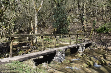 Footbridge at Monk's Dale
